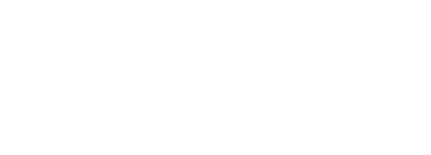 Omni Consulting Logo in white